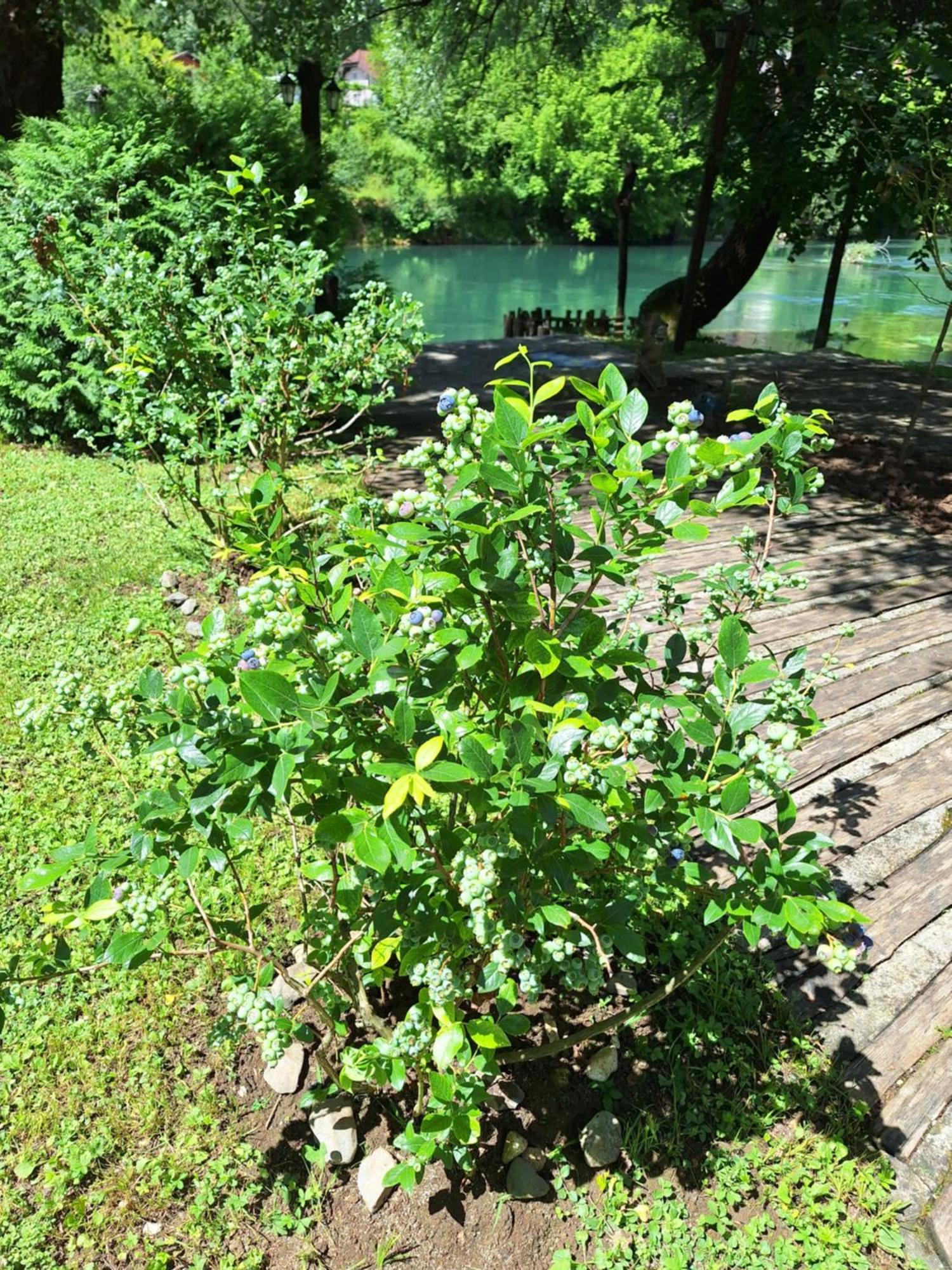 Atrium Holiday Home Bihać 外观 照片